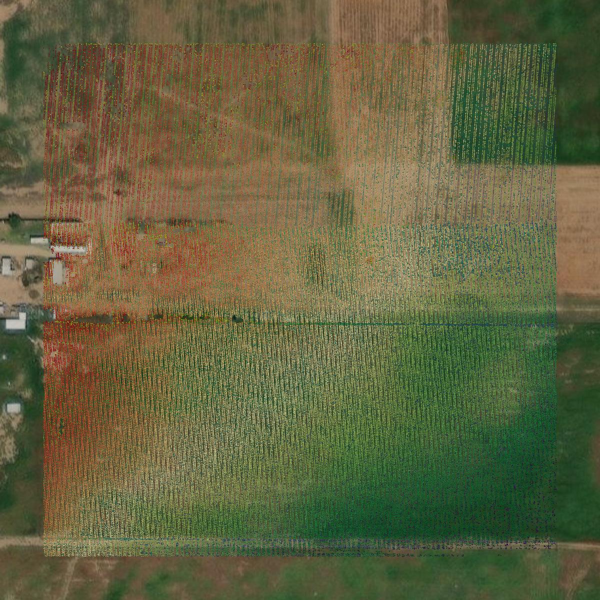 This image shows a LiDAR point cloud in Moore County created using GIS data in Equator.