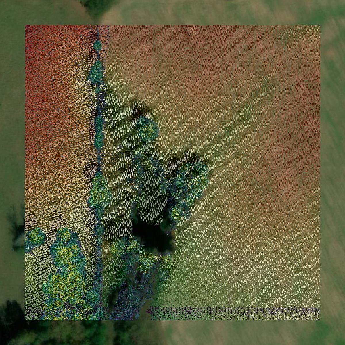 This image shows a LiDAR point cloud in Morris County created using GIS data in Equator.