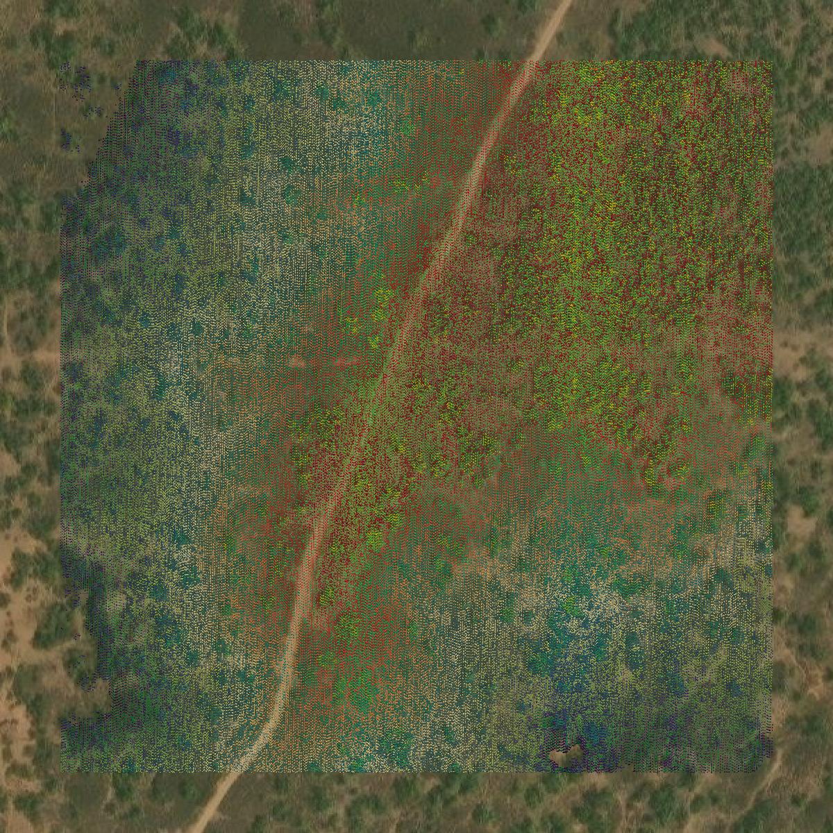 This image shows a LiDAR point cloud in Motley County created using GIS data in Equator.