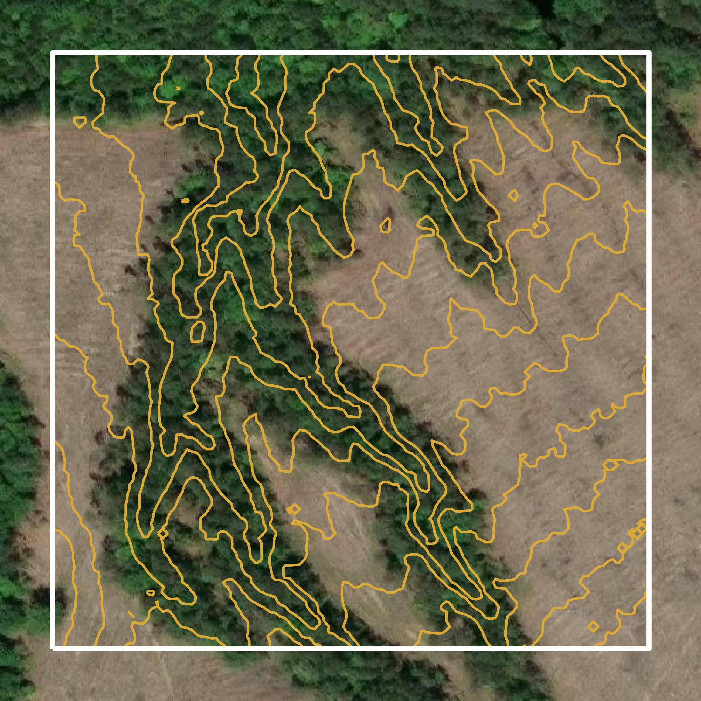This image shows a contour map in Nacogdoches County created using GIS data in Equator.