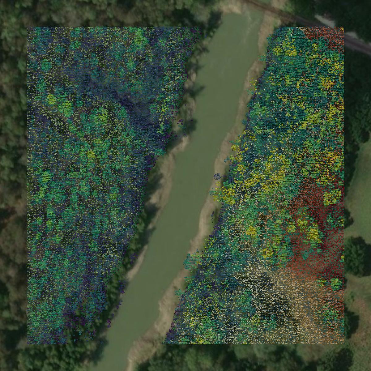This image shows a LiDAR point cloud in Navarro County created using GIS data in Equator.