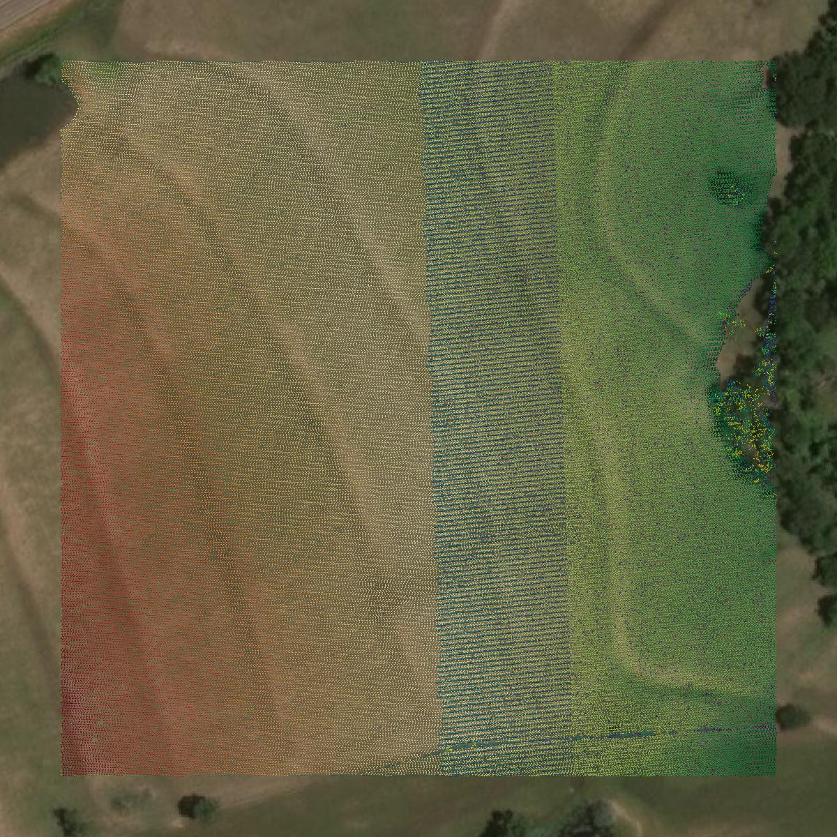 This image shows a LiDAR point cloud in Navarro County created using GIS data in Equator.