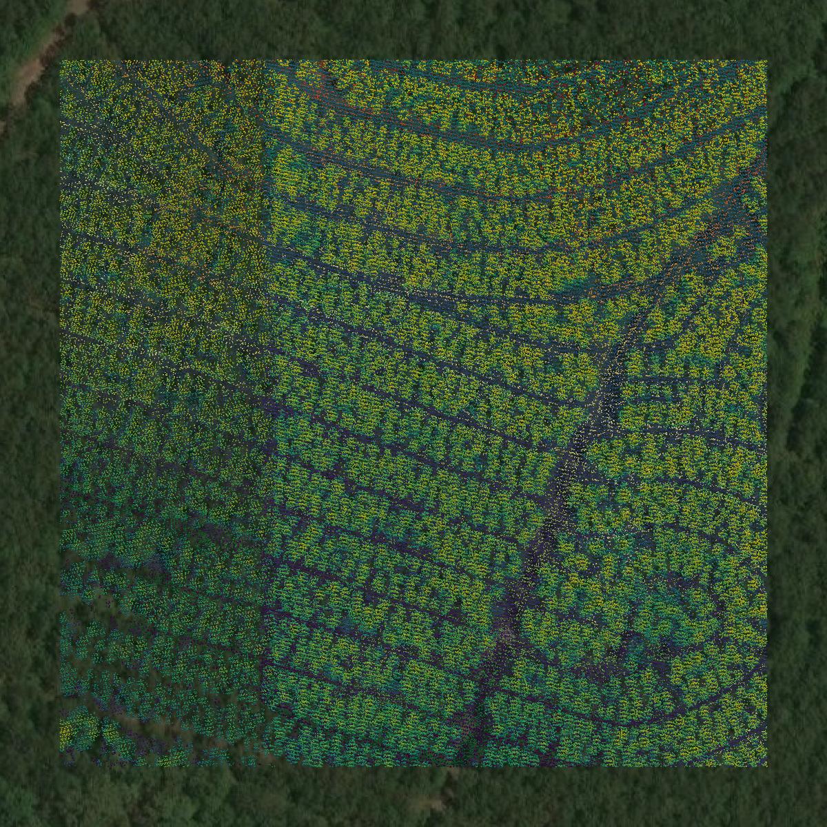 This image shows a LiDAR point cloud in Newton County created using GIS data in Equator.