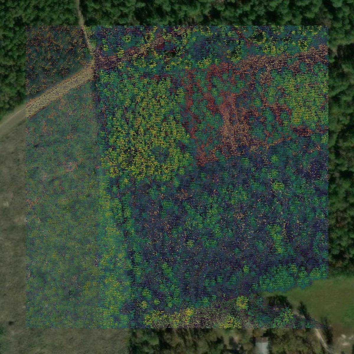 This image shows a LiDAR point cloud in Newton County created using GIS data in Equator.