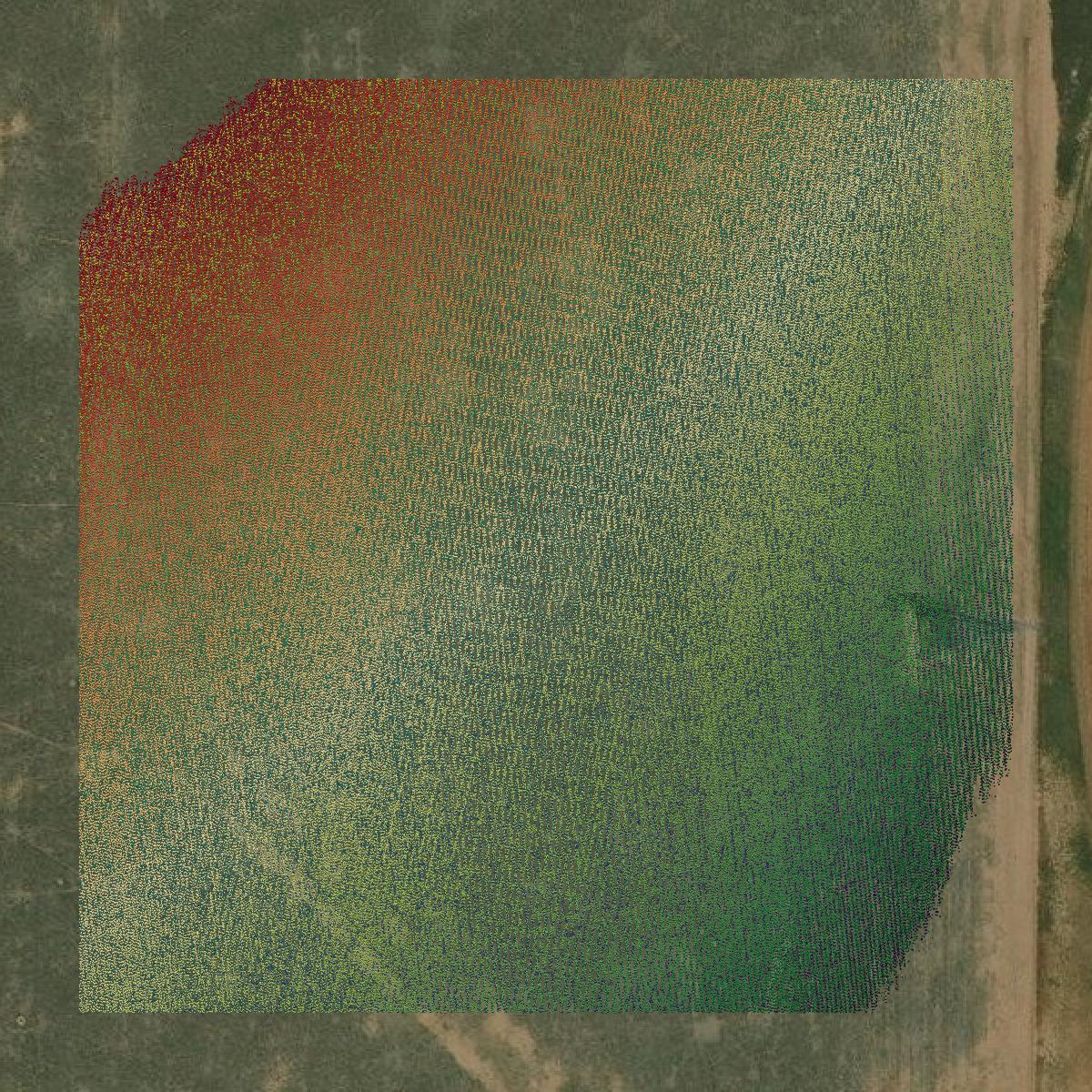 This image shows a LiDAR point cloud in Oldham County created using GIS data in Equator.