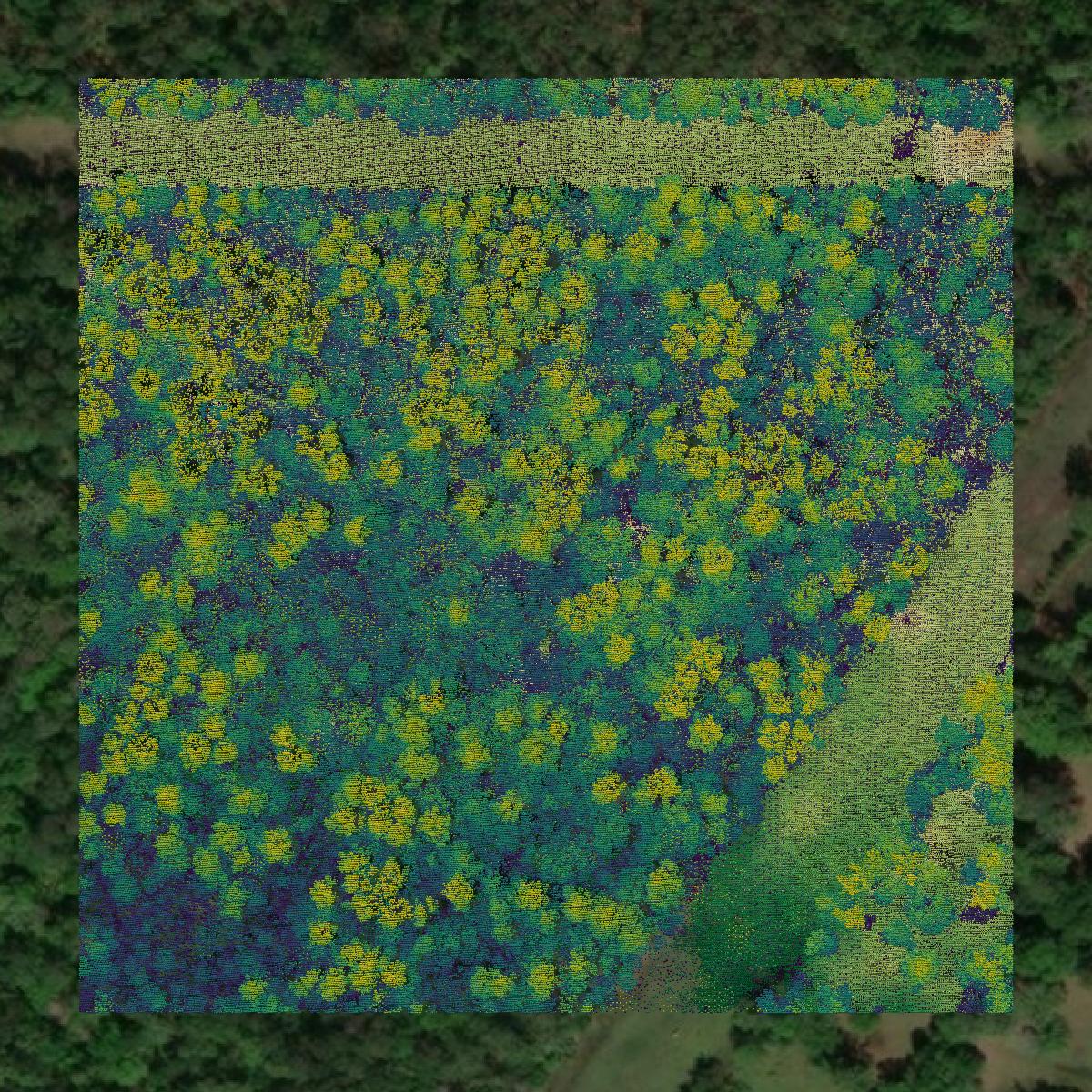 This image shows a LiDAR point cloud in Orange County created using GIS data in Equator.