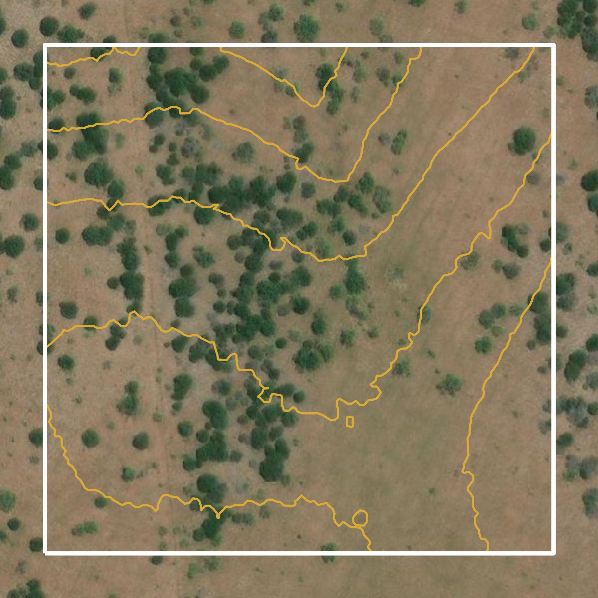 This image shows a contour map in Palo Pinto County created using GIS data in Equator.
