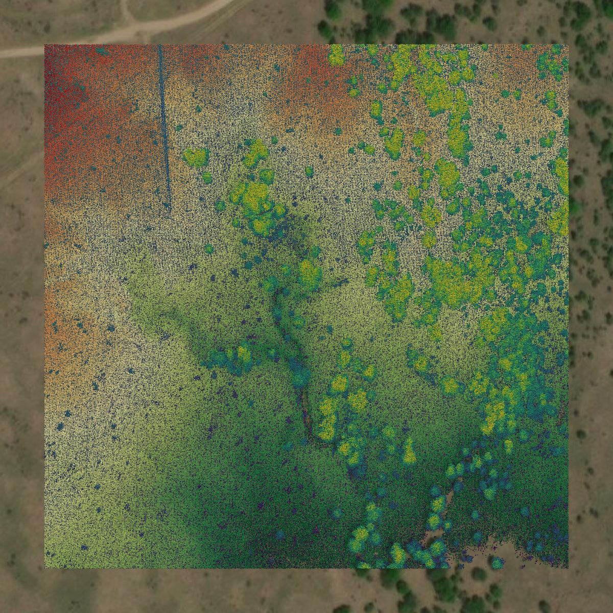 This image shows a LiDAR point cloud in Palo Pinto County created using GIS data in Equator.