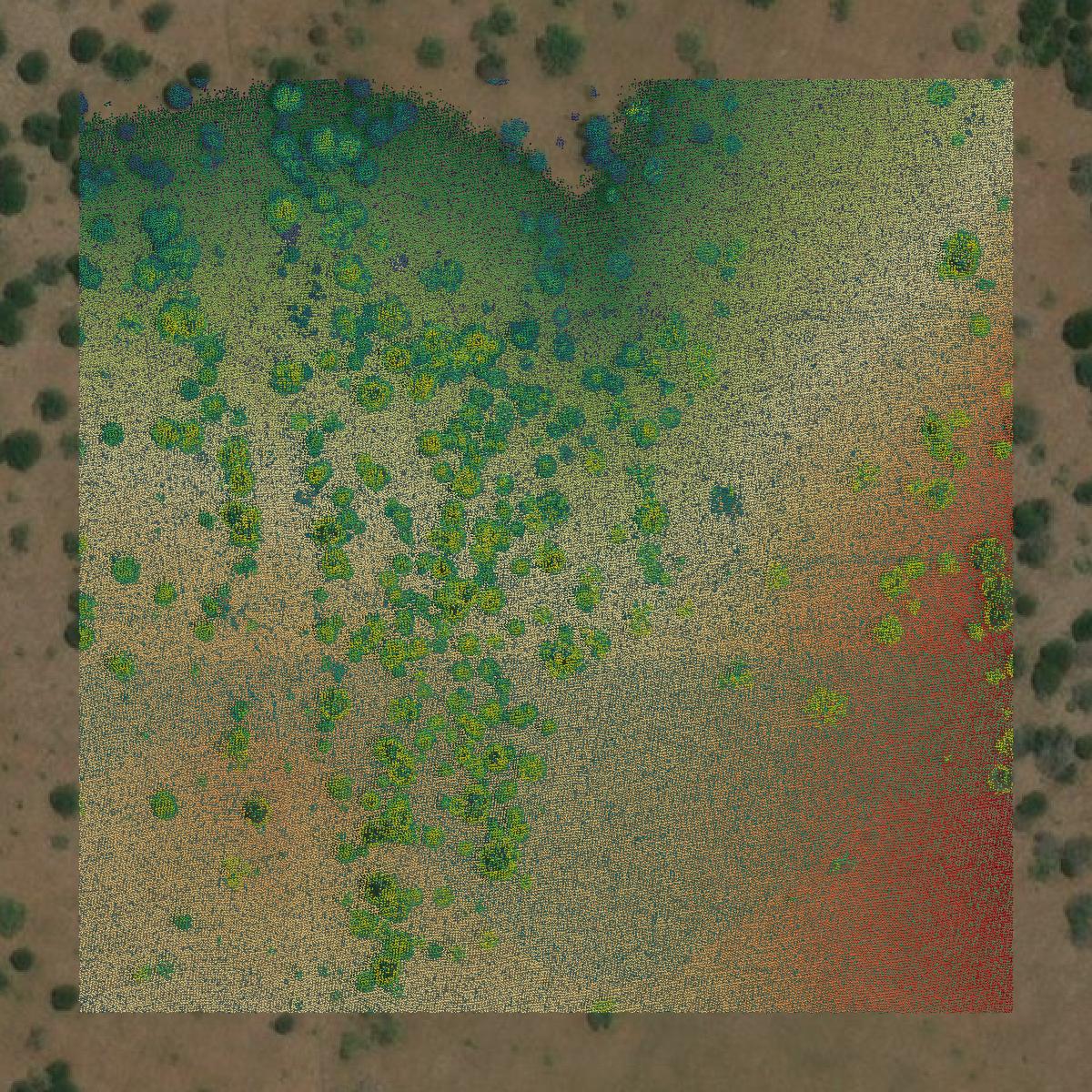 This image shows a LiDAR point cloud in Palo Pinto County created using GIS data in Equator.