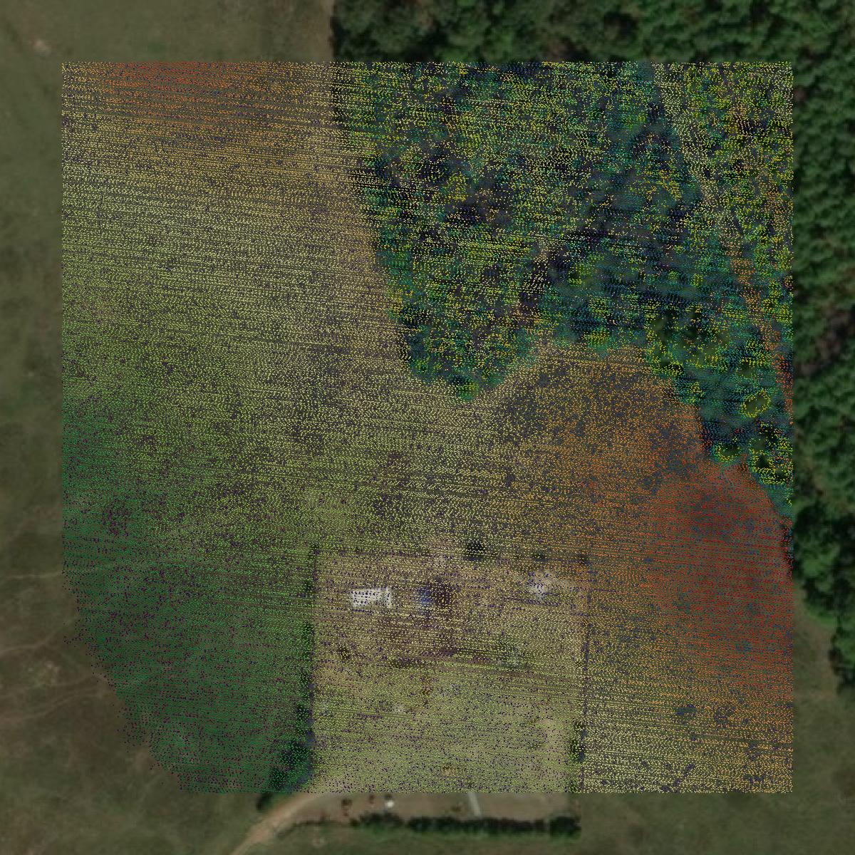 This image shows a LiDAR point cloud in Panola County created using GIS data in Equator.