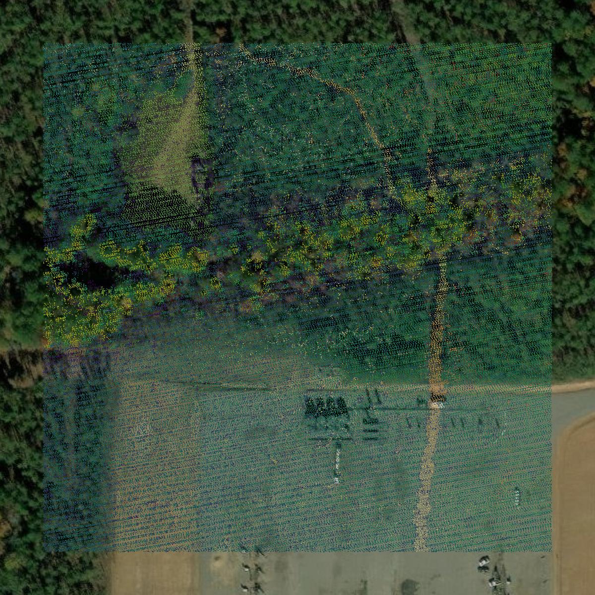 This image shows a LiDAR point cloud in Panola County created using GIS data in Equator.