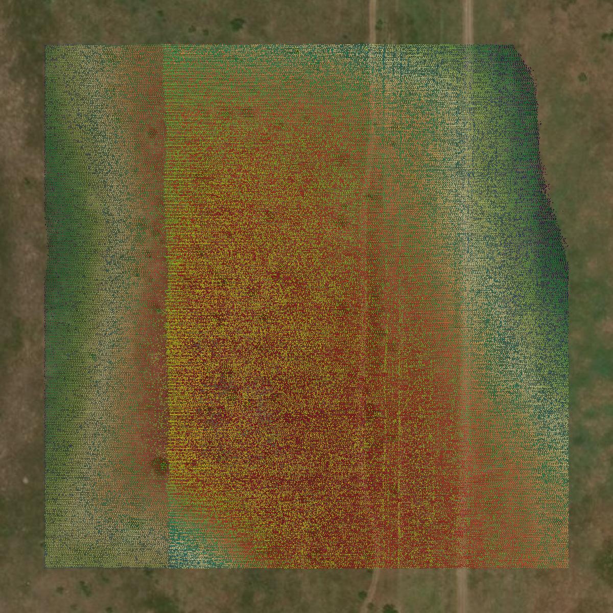 This image shows a LiDAR point cloud in Parker County created using GIS data in Equator.