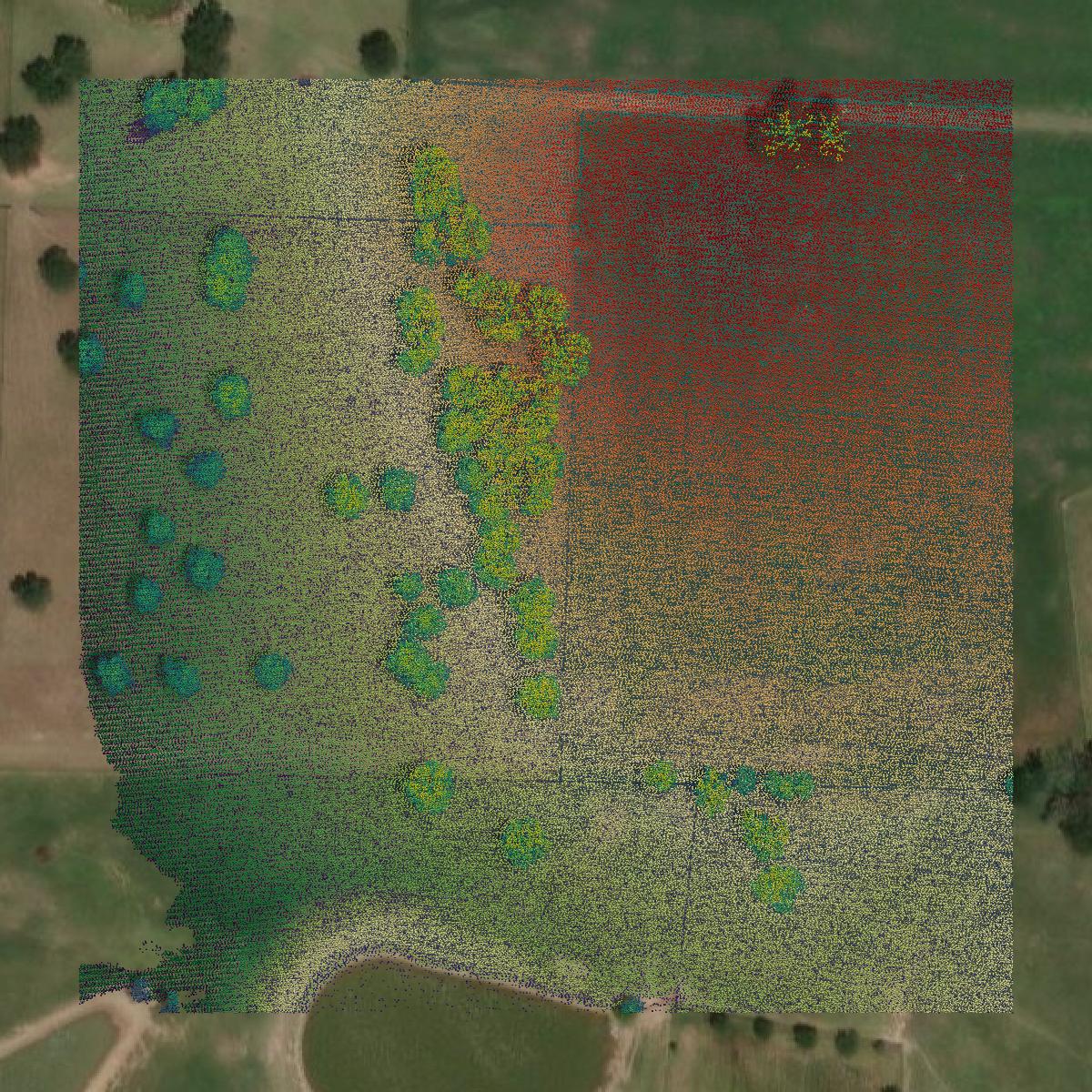 This image shows a LiDAR point cloud in Parker County created using GIS data in Equator.