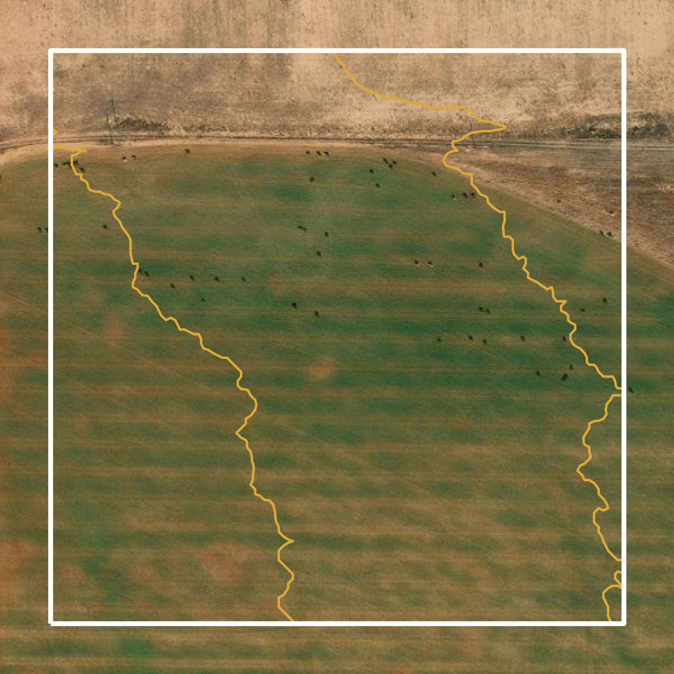 This image shows a contour map in Parmer County created using GIS data in Equator.