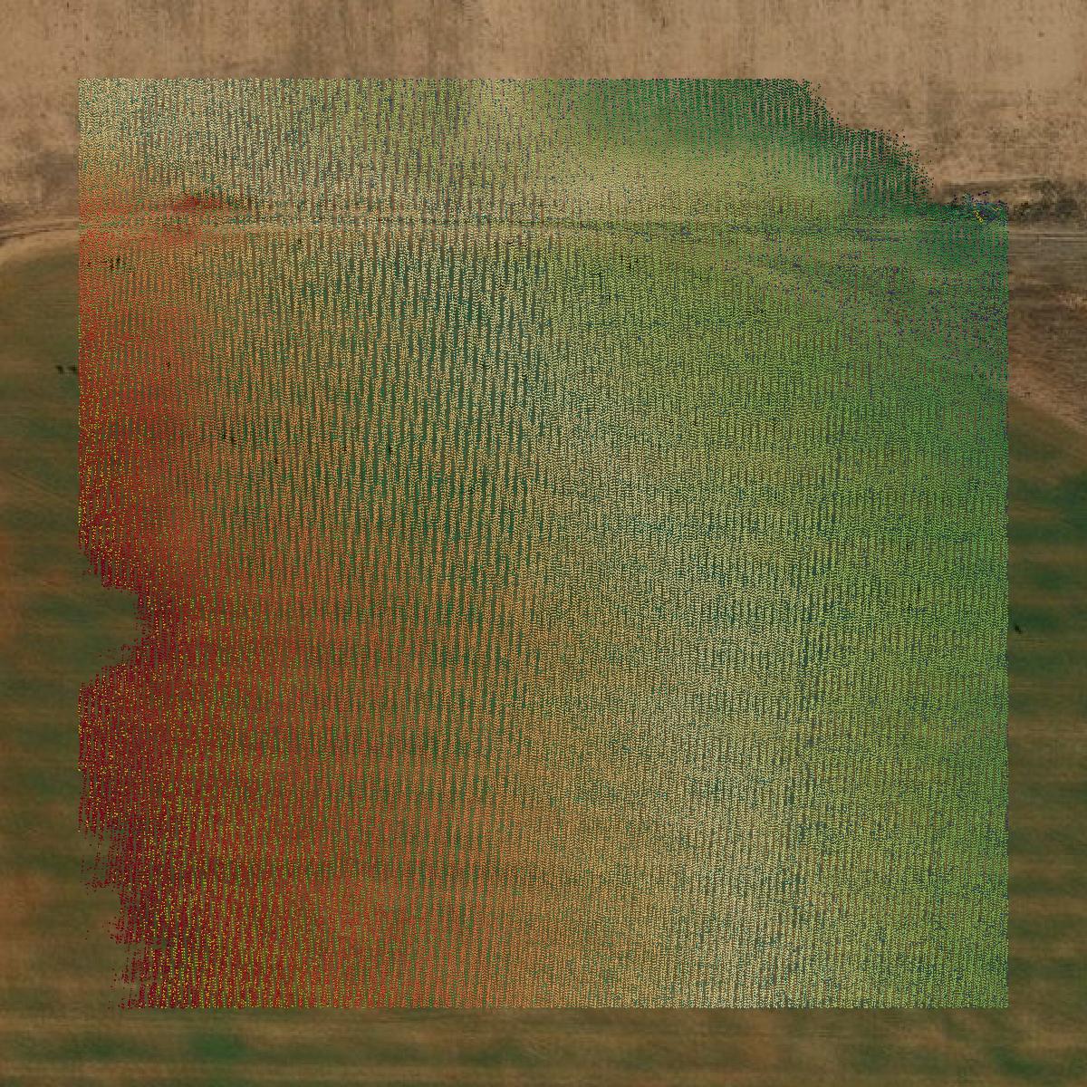 This image shows a LiDAR point cloud in Parmer County created using GIS data in Equator.