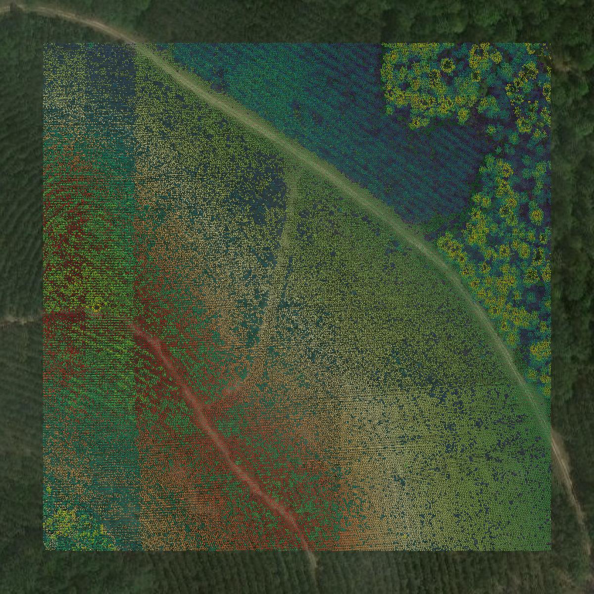 This image shows a LiDAR point cloud in Polk County created using GIS data in Equator.