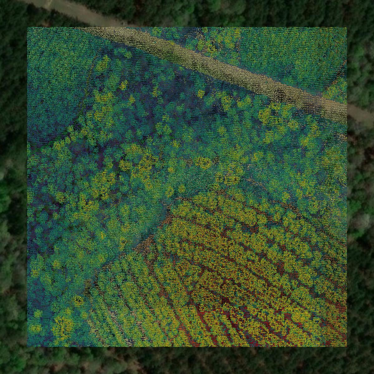 This image shows a LiDAR point cloud in Polk County created using GIS data in Equator.