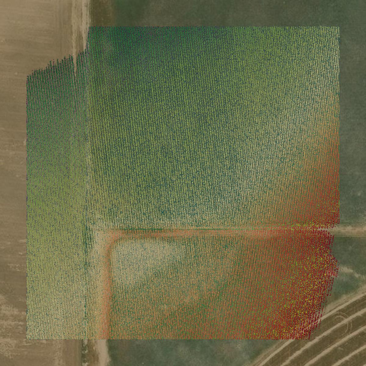 This image shows a LiDAR point cloud in Potter County created using GIS data in Equator.