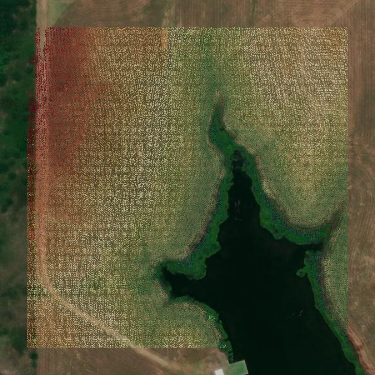 This image shows a LiDAR point cloud in Rains County created using GIS data in Equator.