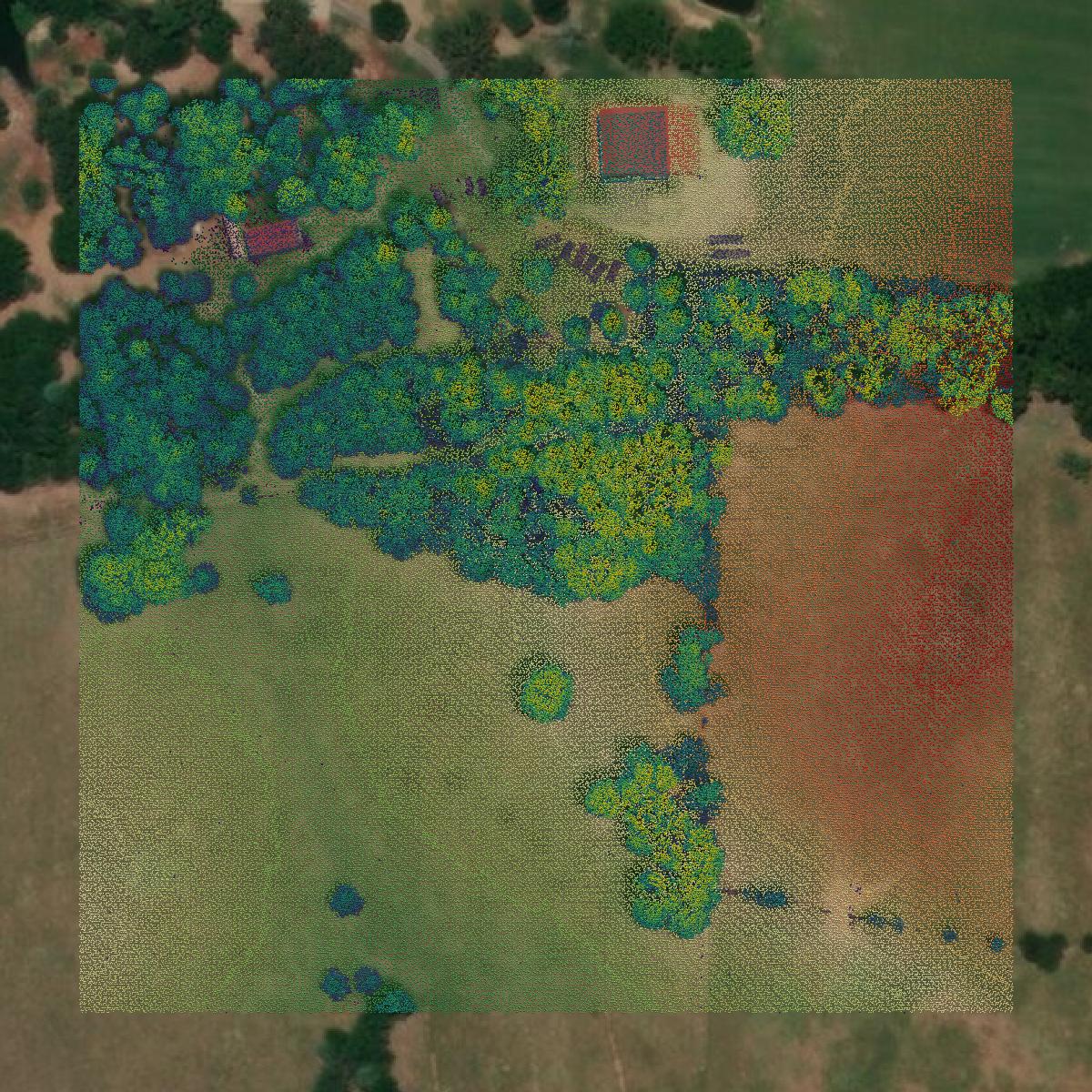 This image shows a LiDAR point cloud in Rains County created using GIS data in Equator.