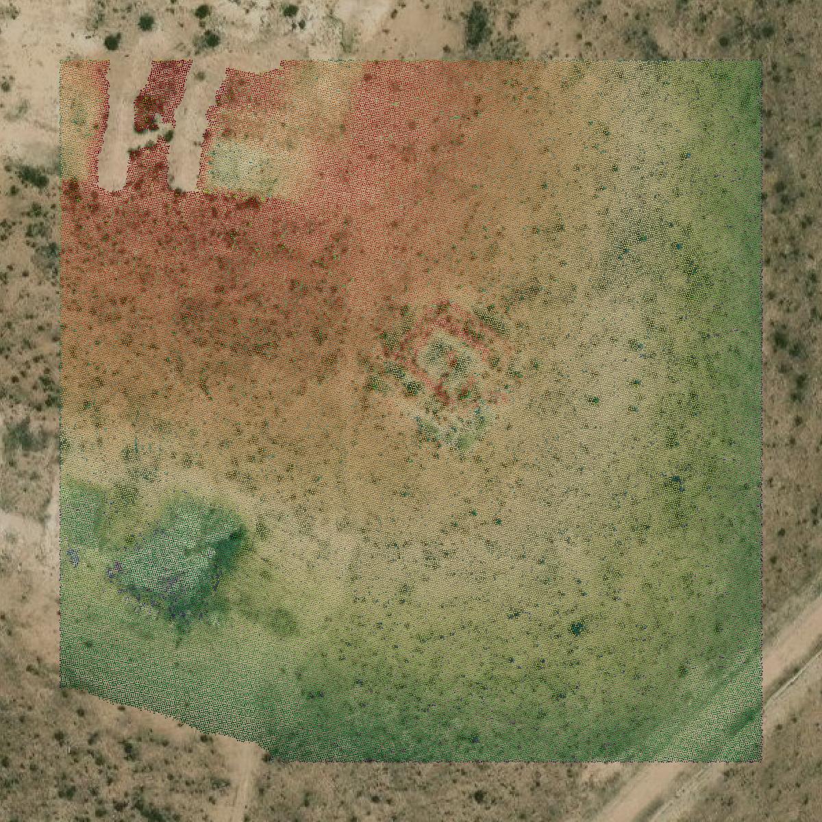 This image shows a LiDAR point cloud in Reagan County created using GIS data in Equator.