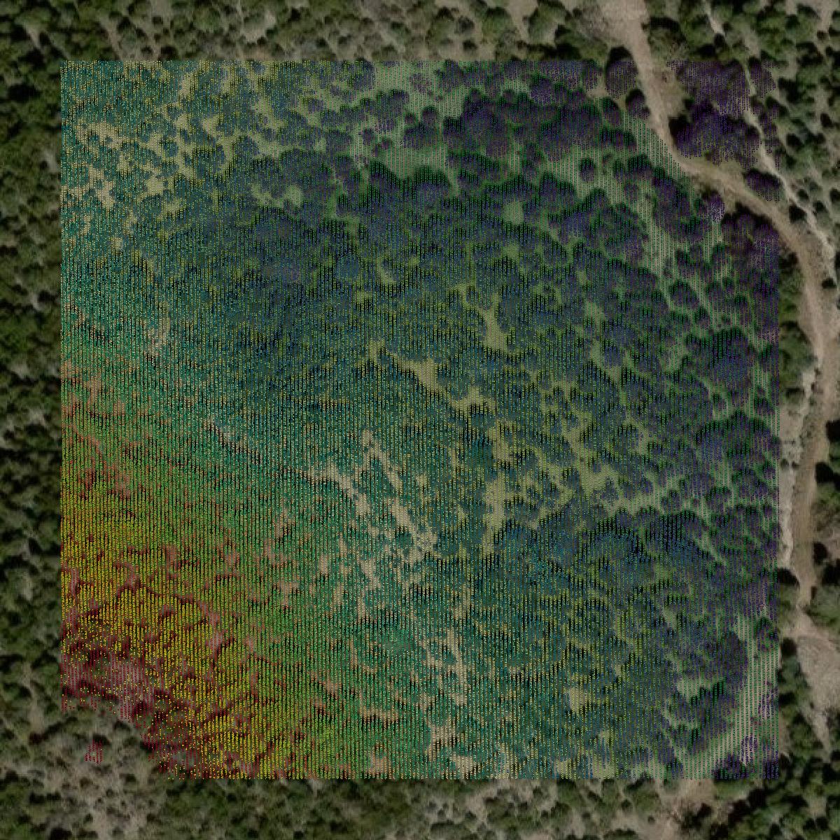 This image shows a LiDAR point cloud in Real County created using GIS data in Equator.