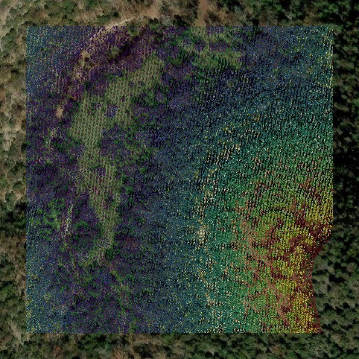 This image shows a LiDAR point cloud in Real County created using GIS data in Equator.
