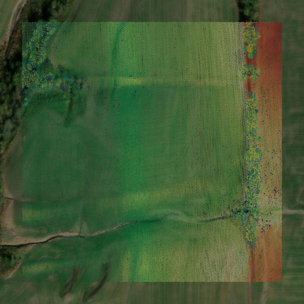 This image shows a LiDAR point cloud in Red River County created using GIS data in Equator.