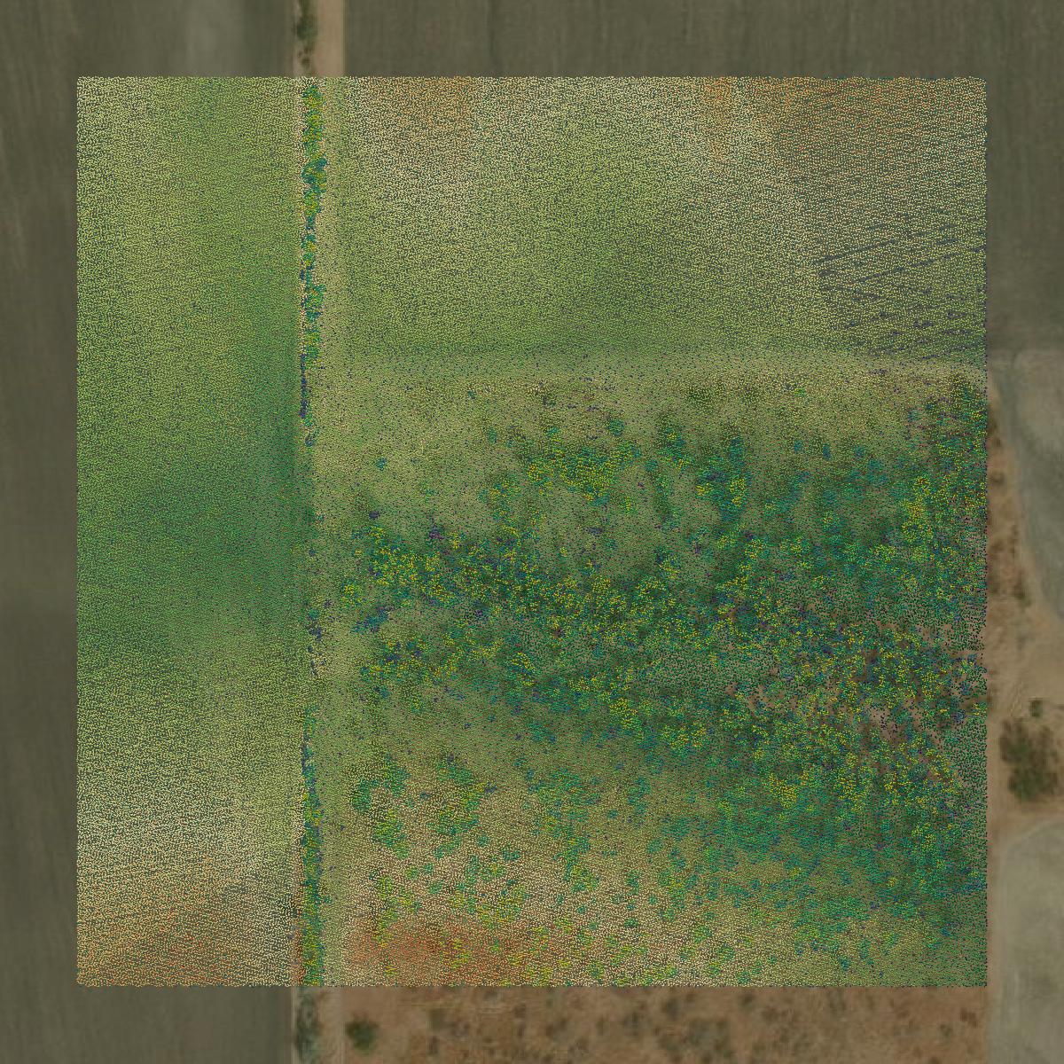 This image shows a LiDAR point cloud in Refugio County created using GIS data in Equator.