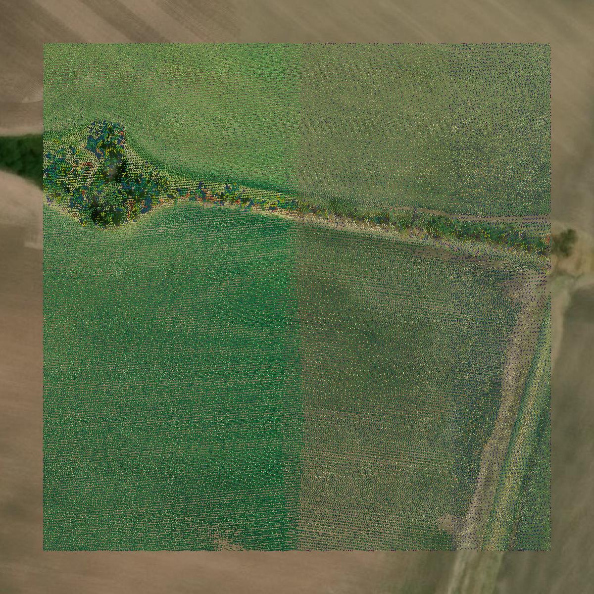 This image shows a LiDAR point cloud in Refugio County created using GIS data in Equator.