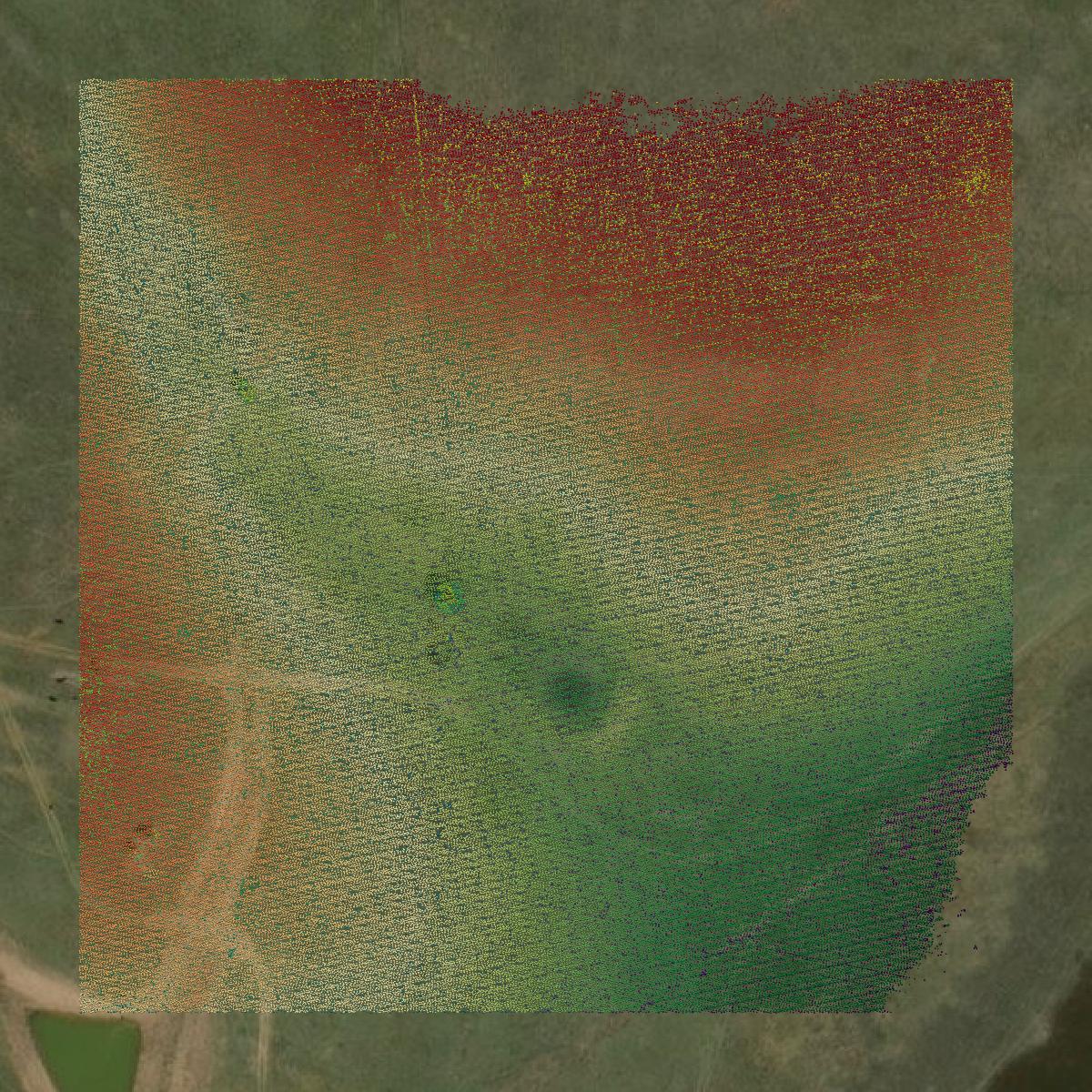 This image shows a LiDAR point cloud in Roberts County created using GIS data in Equator.