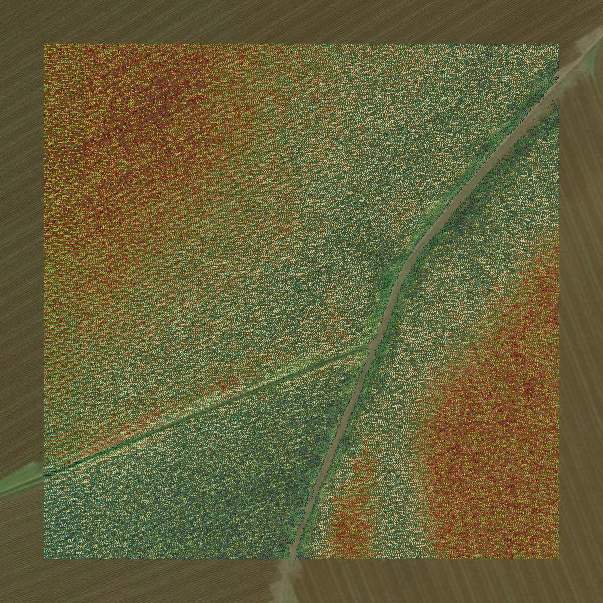 This image shows a LiDAR point cloud in Robertson County created using GIS data in Equator.