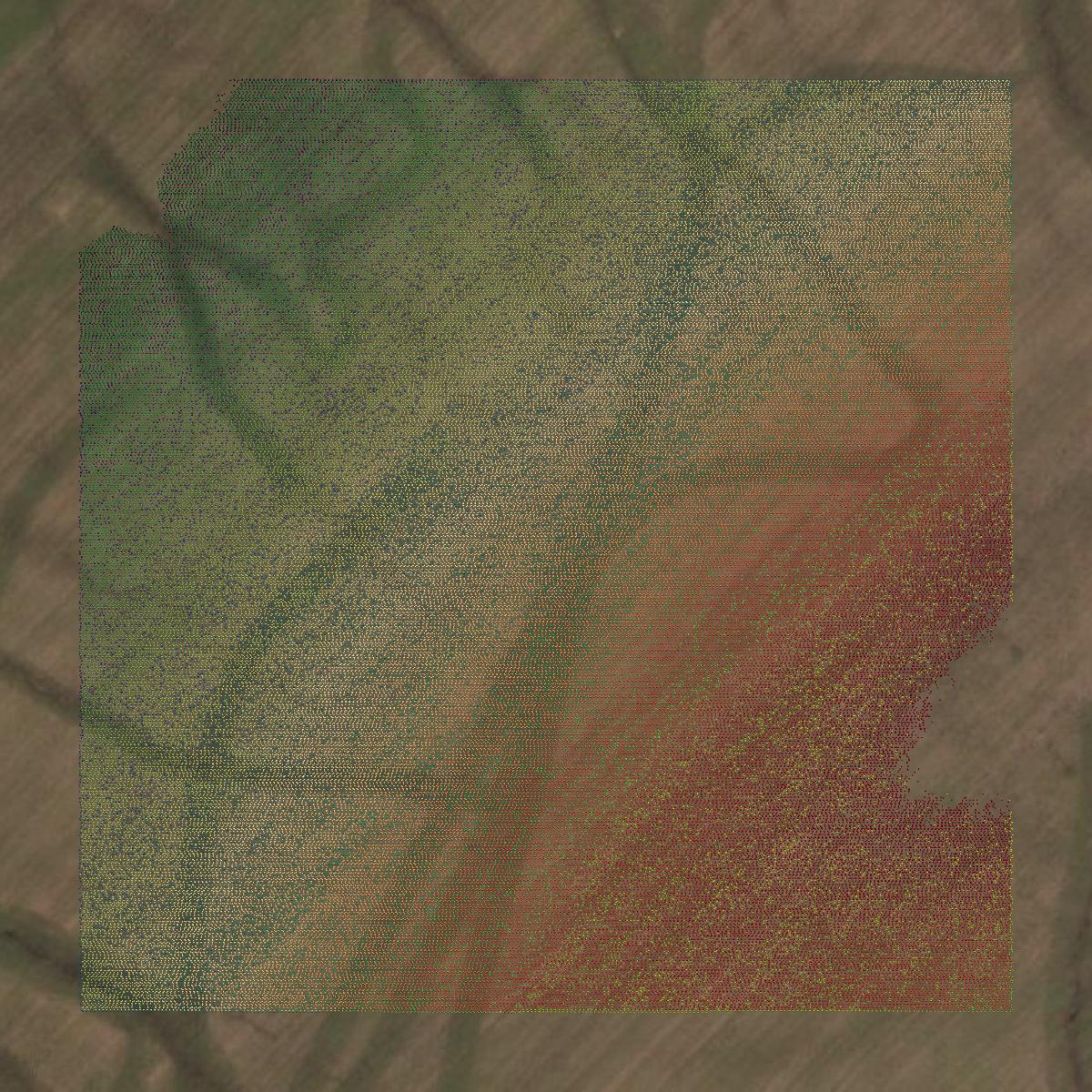 This image shows a LiDAR point cloud in Rockwall County created using GIS data in Equator.