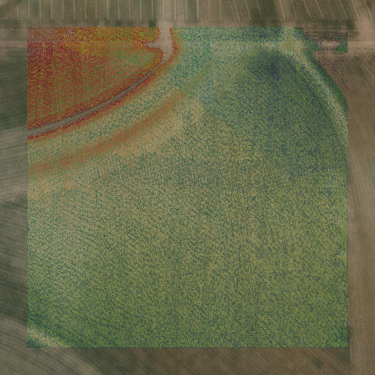 This image shows a LiDAR point cloud in Runnels County created using GIS data in Equator.