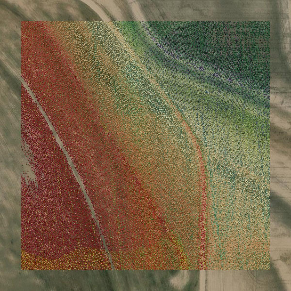 This image shows a LiDAR point cloud in Runnels County created using GIS data in Equator.