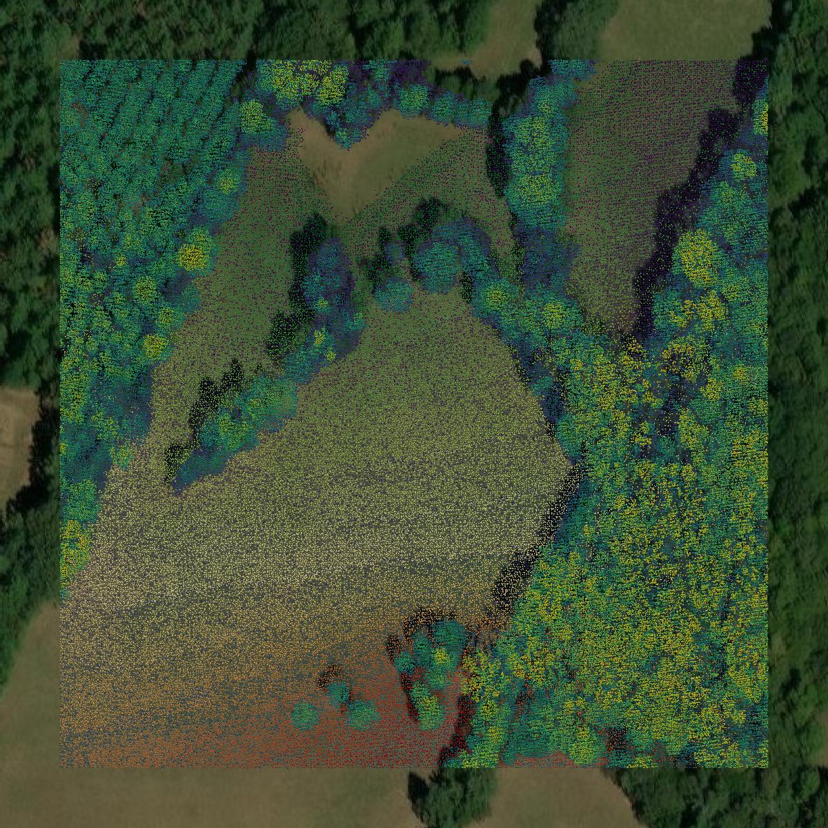 This image shows a LiDAR point cloud in Rusk County created using GIS data in Equator.