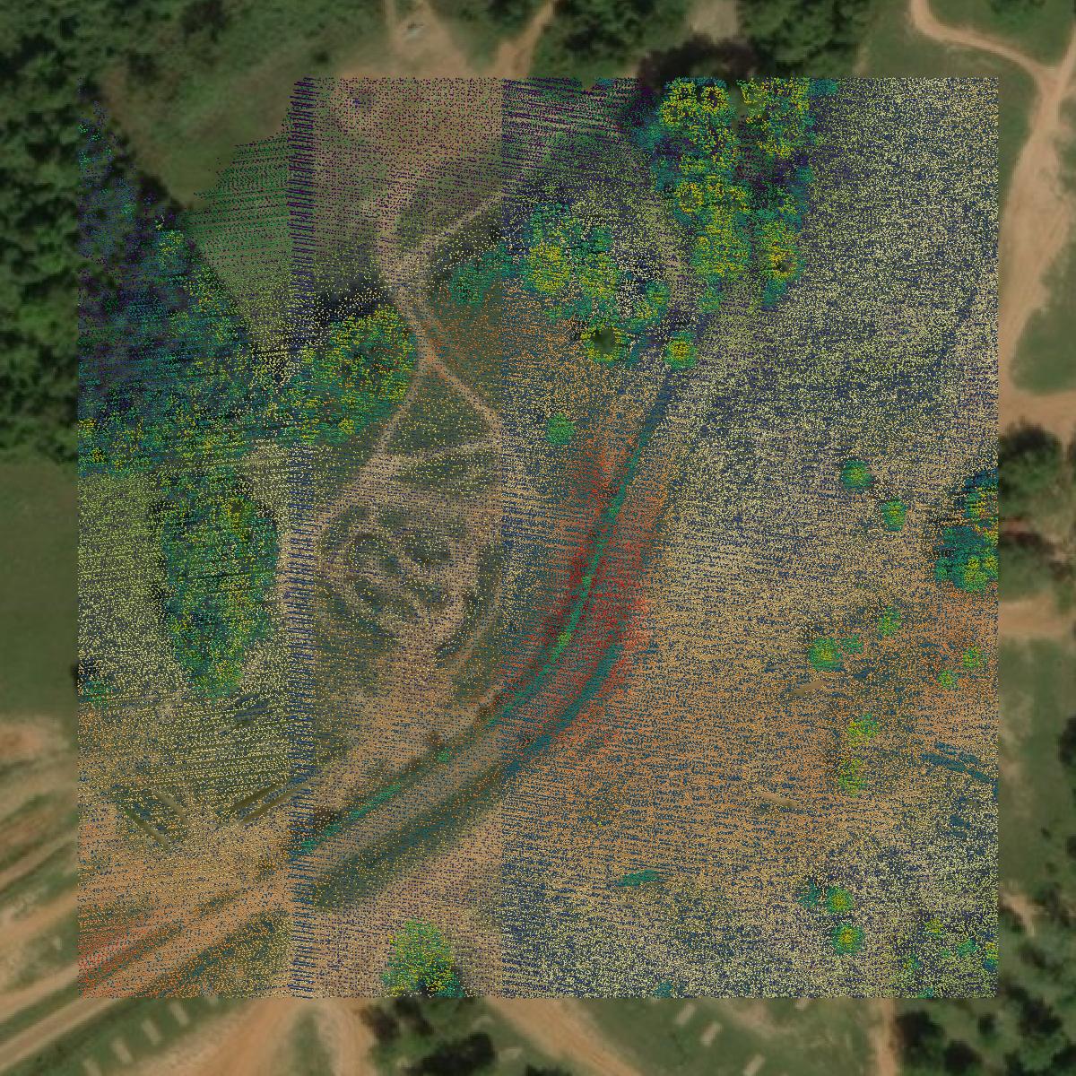 This image shows a LiDAR point cloud in Rusk County created using GIS data in Equator.