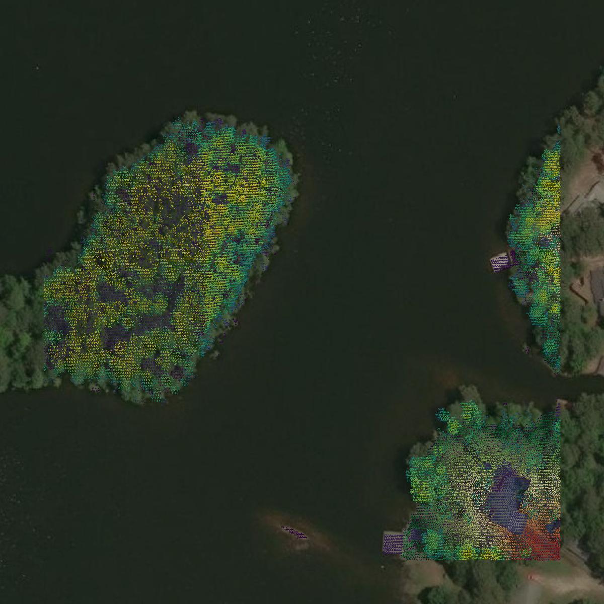 This image shows a LiDAR point cloud in Sabine County created using GIS data in Equator.