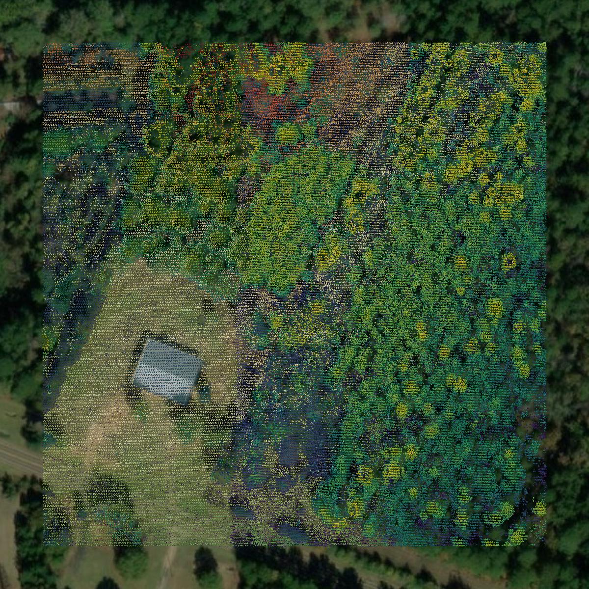 This image shows a LiDAR point cloud in Sabine County created using GIS data in Equator.