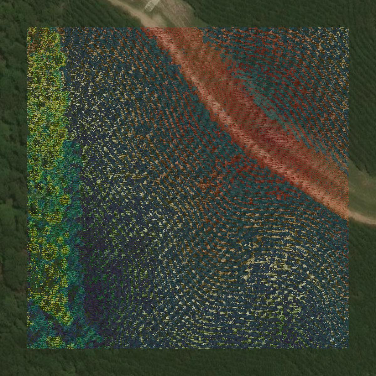 This image shows a LiDAR point cloud in San Augustine County created using GIS data in Equator.
