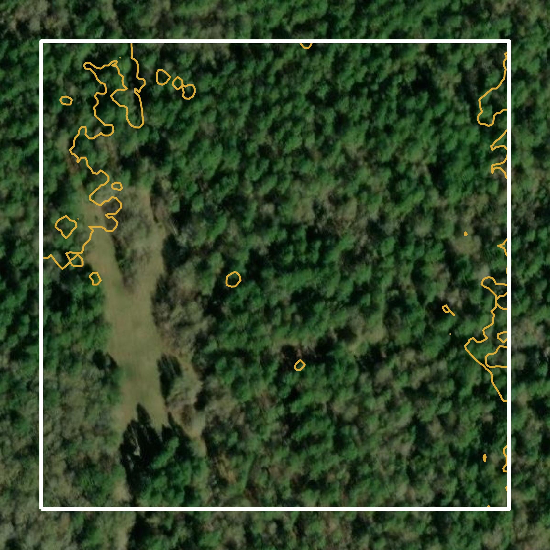 This image shows a contour map in San Jacinto County created using GIS data in Equator.
