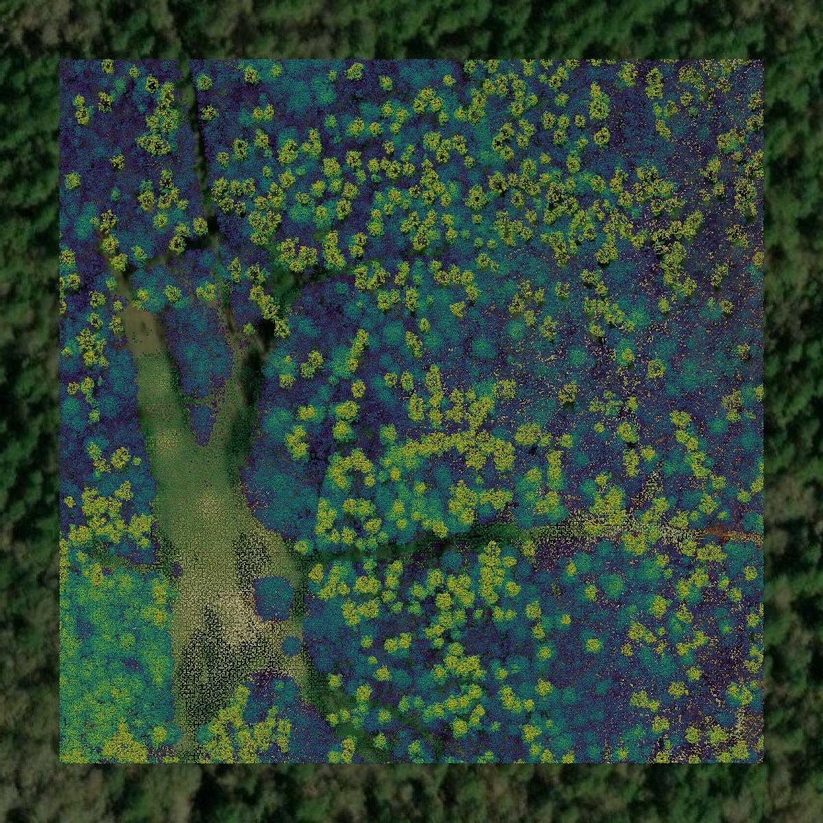 This image shows a LiDAR point cloud in San Jacinto County created using GIS data in Equator.