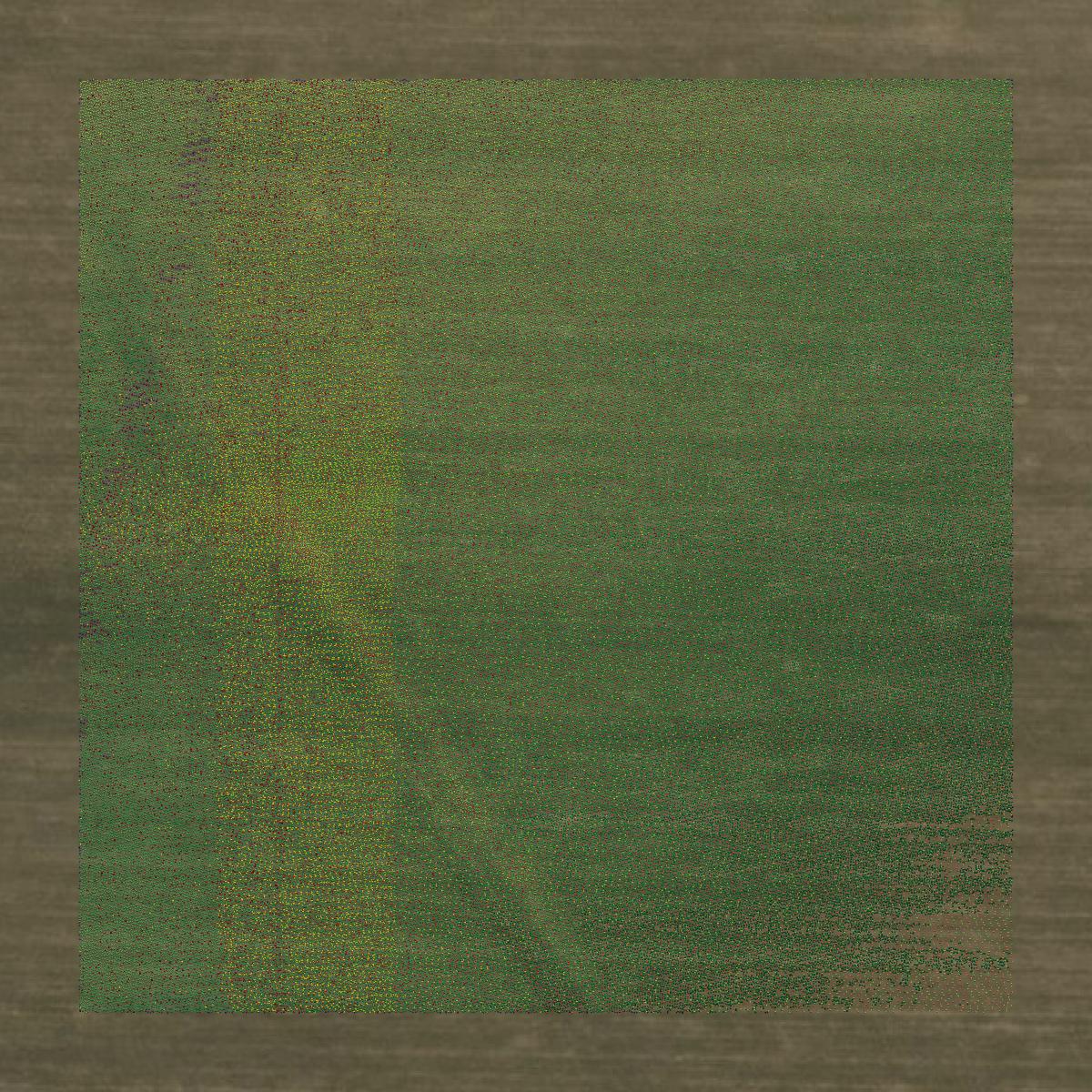 This image shows a LiDAR point cloud in San Patricio County created using GIS data in Equator.