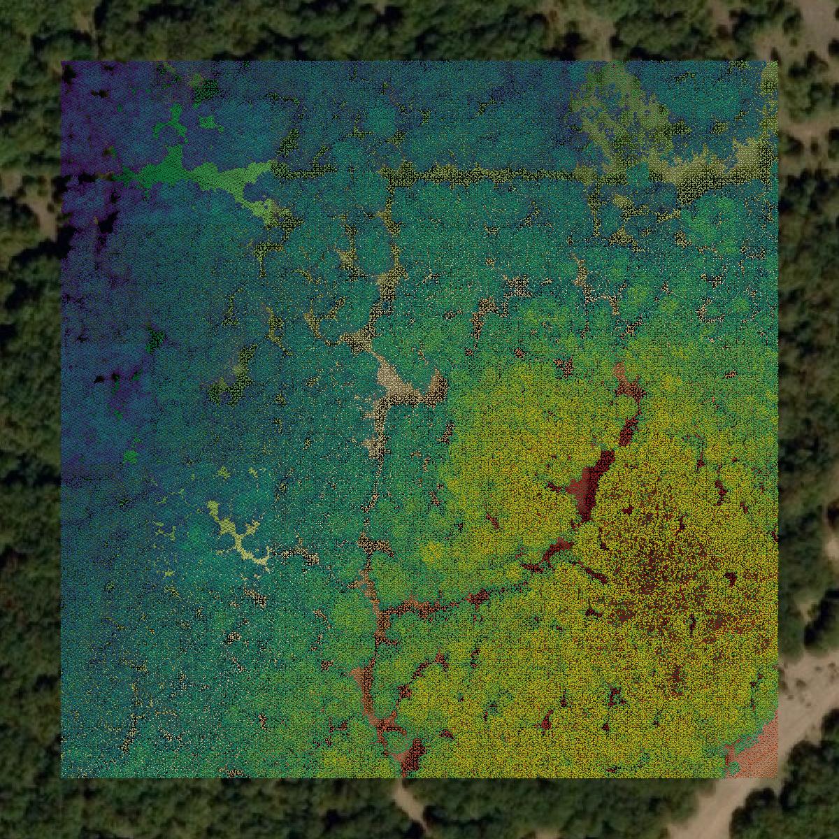 This image shows a LiDAR point cloud in San Saba County created using GIS data in Equator.