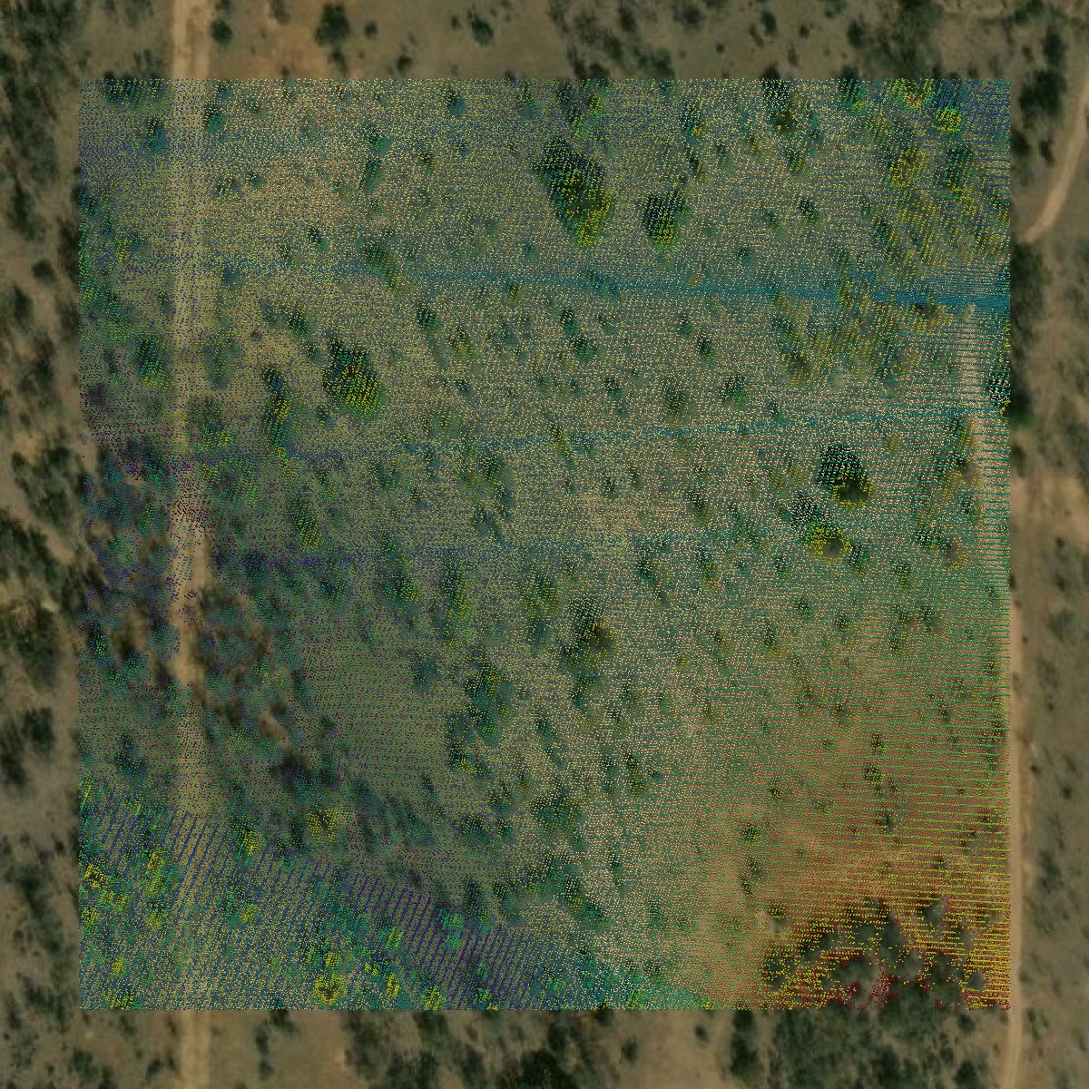 This image shows a LiDAR point cloud in San Saba County created using GIS data in Equator.