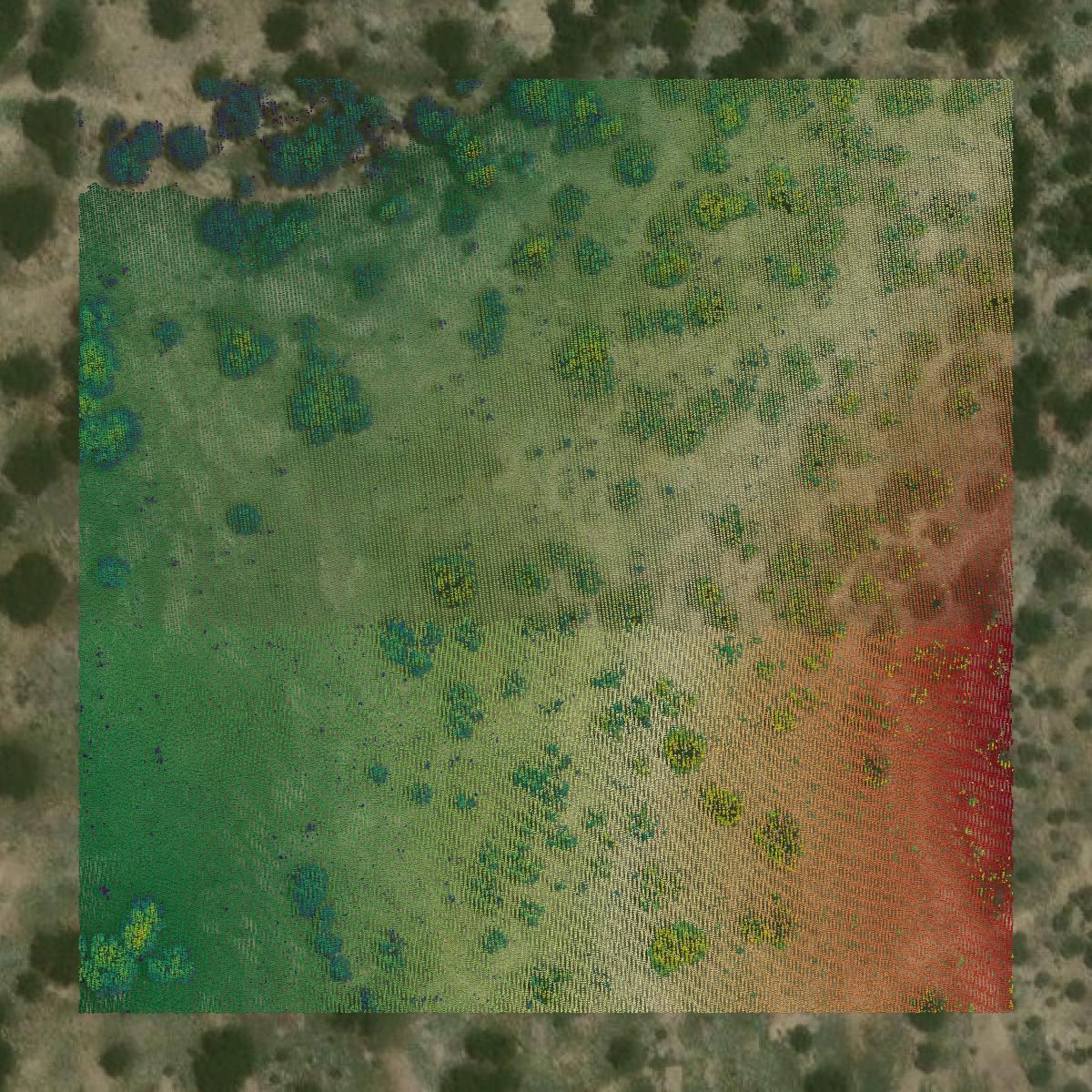 This image shows a LiDAR point cloud in Schleicher County created using GIS data in Equator.