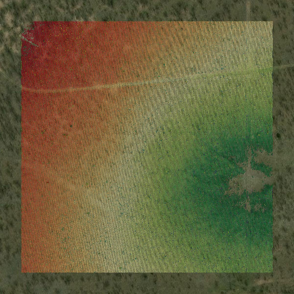 This image shows a LiDAR point cloud in Schleicher County created using GIS data in Equator.