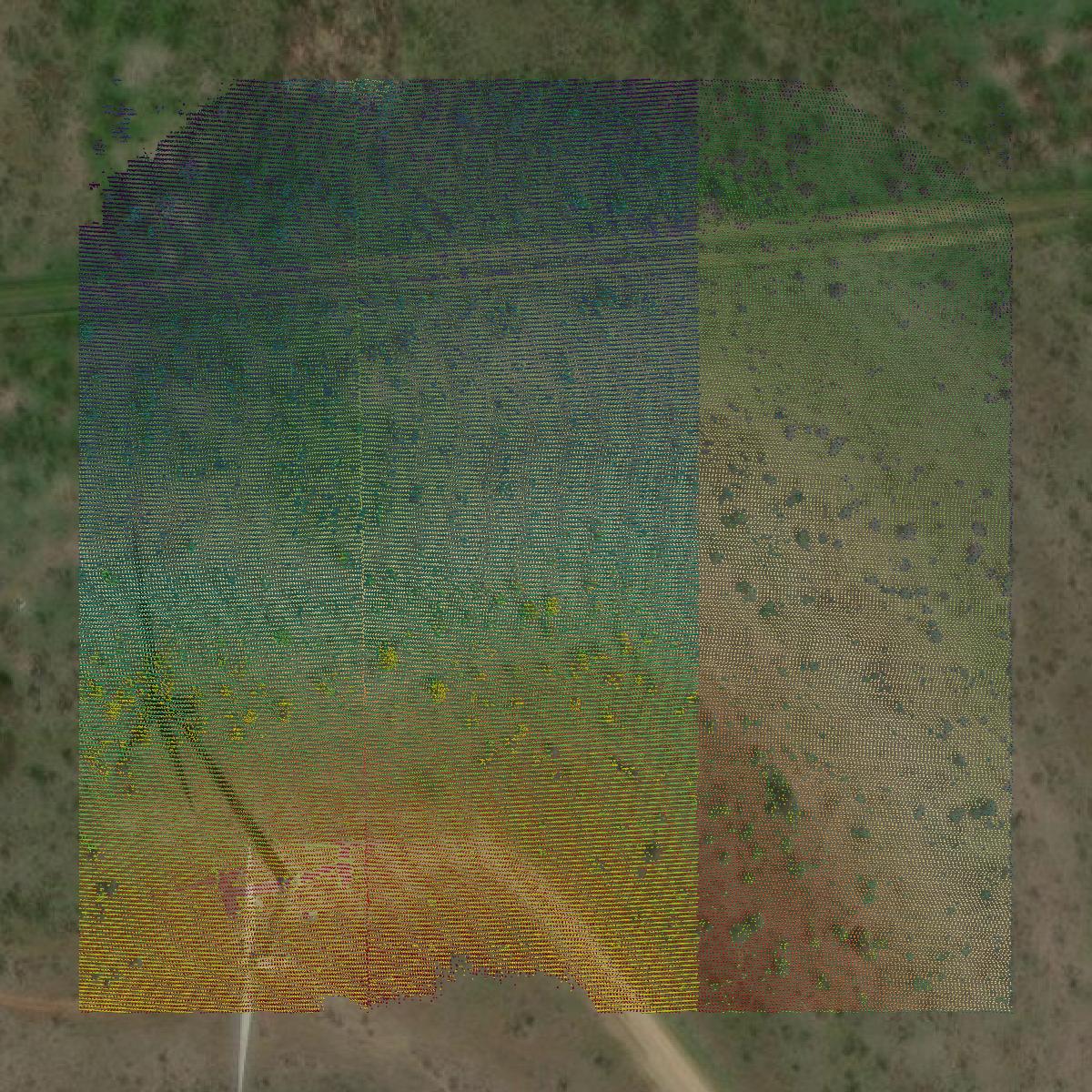 This image shows a LiDAR point cloud in Shackelford County created using GIS data in Equator.