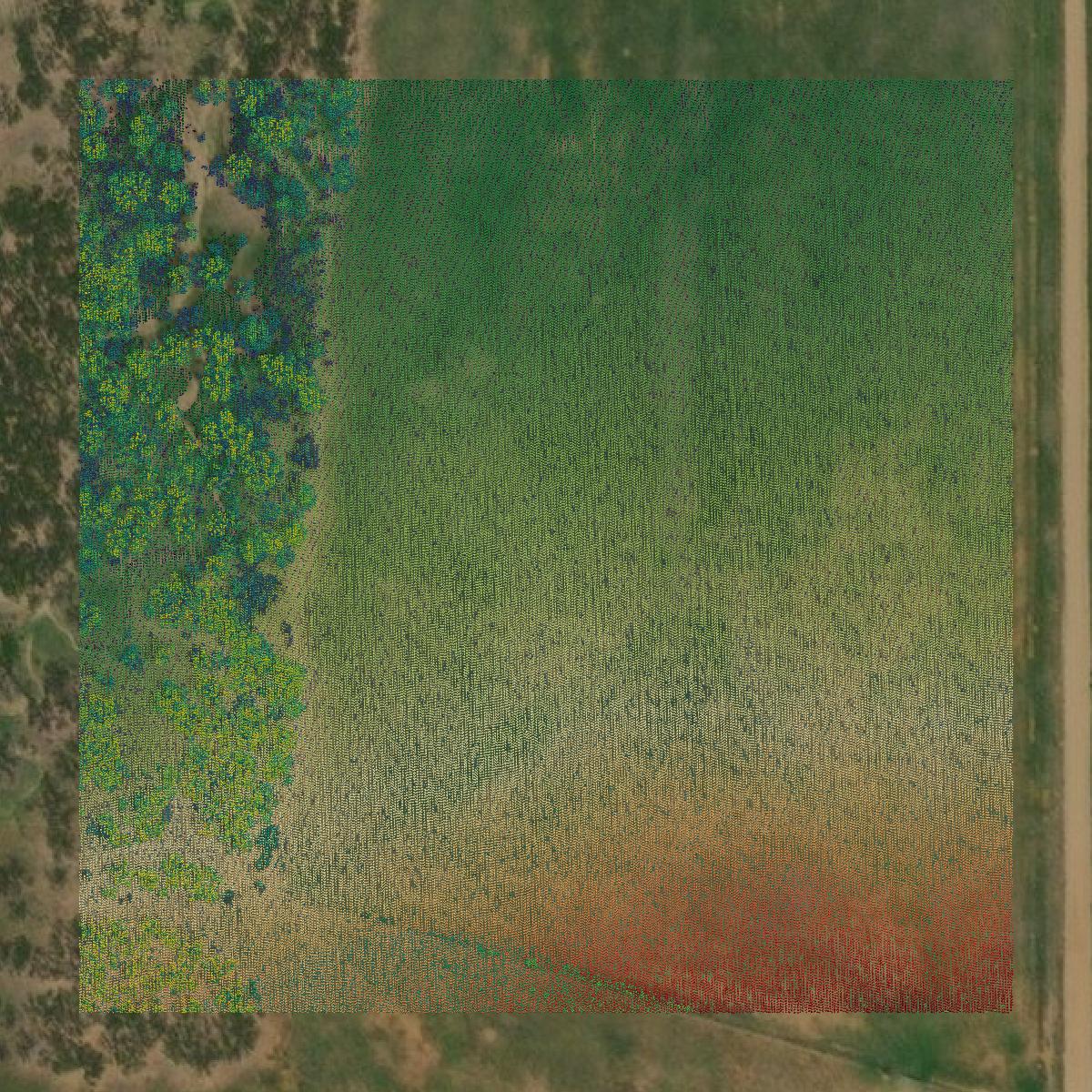 This image shows a LiDAR point cloud in Shackelford County created using GIS data in Equator.