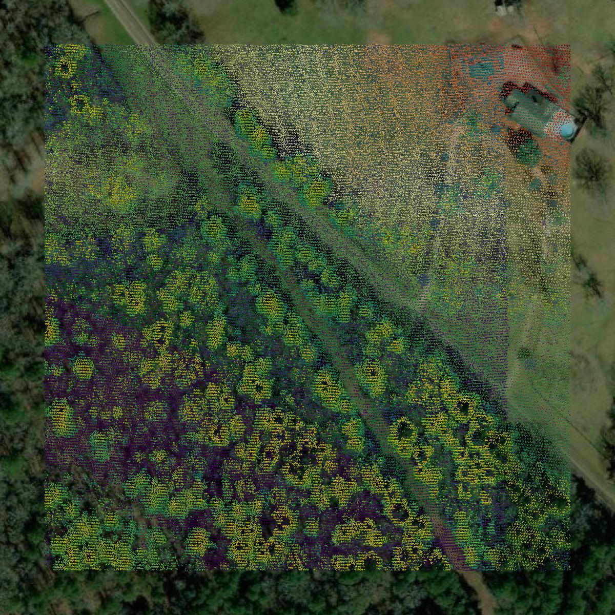 This image shows a LiDAR point cloud in Shelby County created using GIS data in Equator.